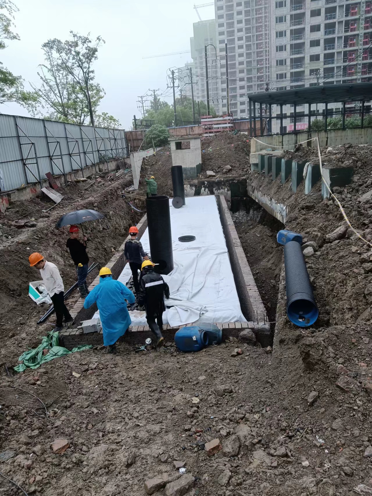 1654581510783057.jpg 7.jpg